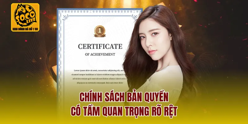 Chính sách bản quyền có tầm quan trọng rõ rệt