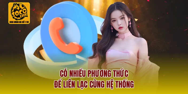 Có nhiều phương thức để liên lạc cùng hệ thống